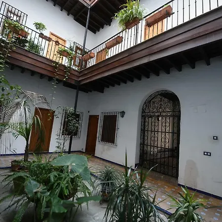 Arenal